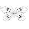 Butterfly #2